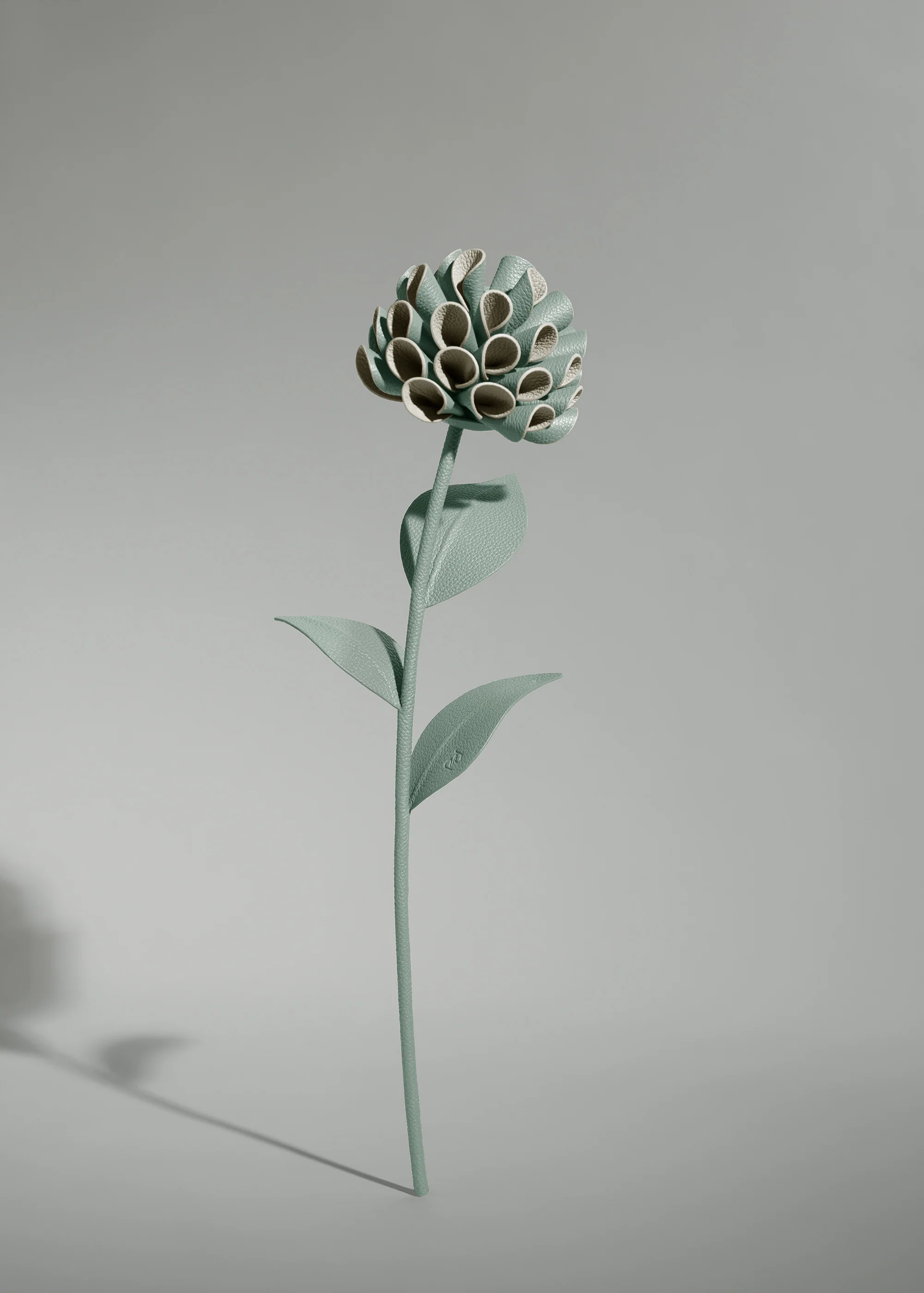 Miniature 2