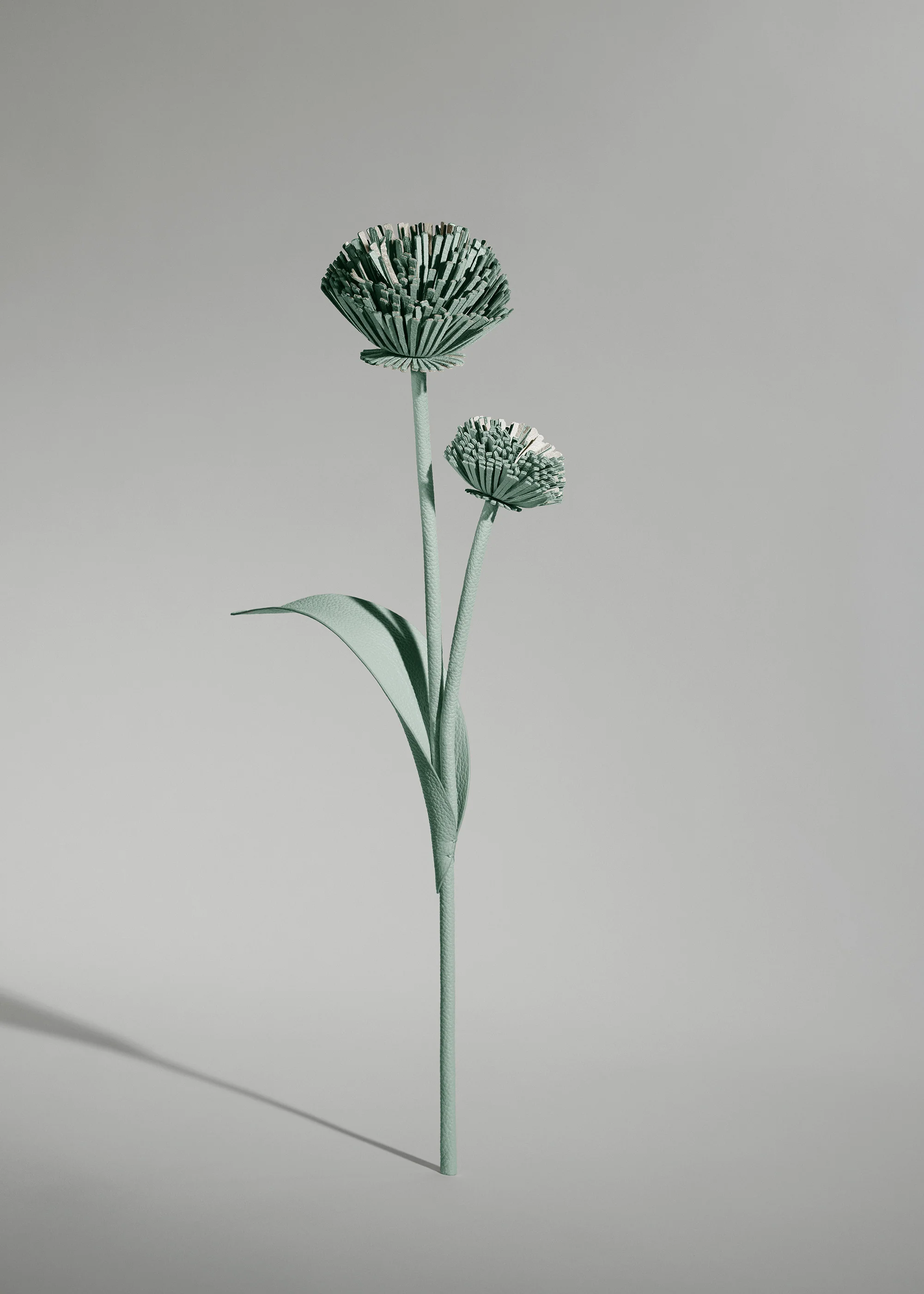Miniature 2